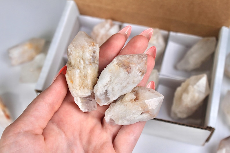 May include: A hand holding several raw quartz crystal points, with others visible in a white box. The crystals are primarily white with tan and brown inclusions. The crystals have a natural, rough texture and are of varying sizes.