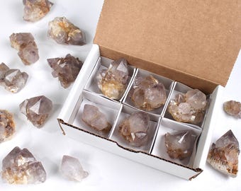 Box of Smoky Ametrine Cactus Crystals, 6 pieces Amethyst Crystals