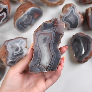 May include: A collection of polished agate stones with concentric banding in shades of gray, white, and reddish-brown. The stones are irregularly shaped and vary in size, with a hand holding one of the stones. The background is a plain white surface.