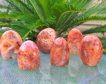 Vibrant Carnelian Crystal Freeforms Choose Your Own! - Energy Boosting Gemstone