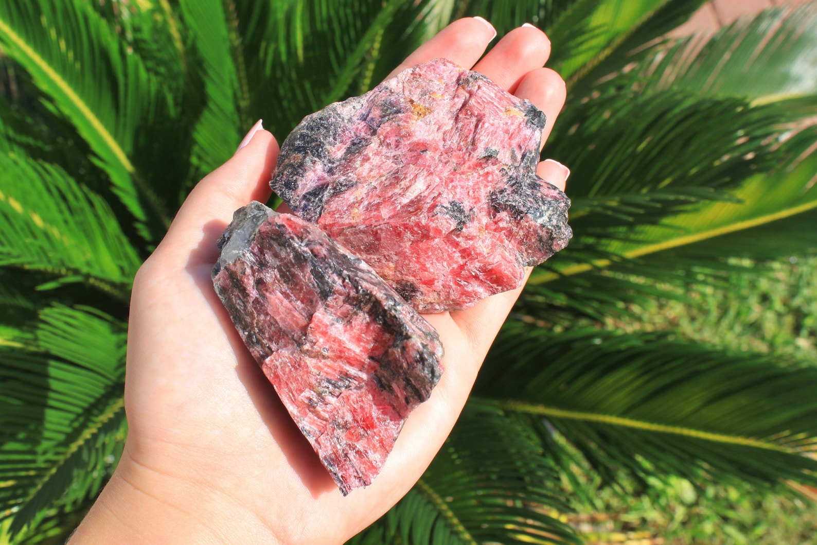 Two raw rhodonite crystals in an open palm, offering grounding and emotional support for Cancer