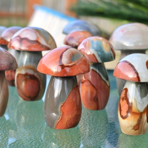 May include: A collection of polished stone mushroom sculptures in various shades of brown, red, and gray. The mushrooms are arranged on a glass surface.