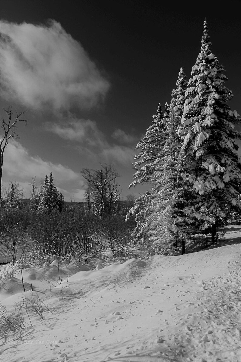 Black and White Photos Adirondack Winter Black and White Landscape ...