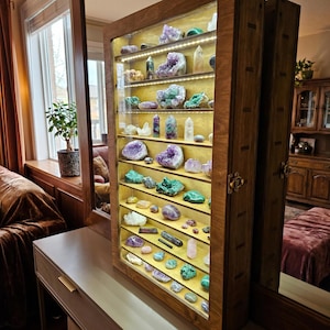 Vitrina de cristal, vitrina de madera con puerta, estante con iluminación LED, almacenamiento de cristal, vitrina de vidrio, estante para figuras de decoración del hogar