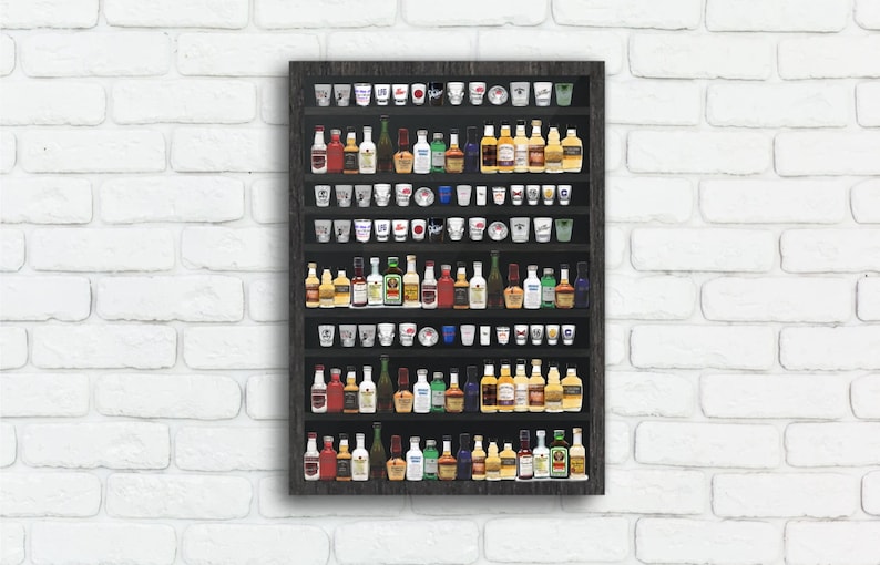 Shot Glass Display Case With Door Display Case for Shot Glass Etsy