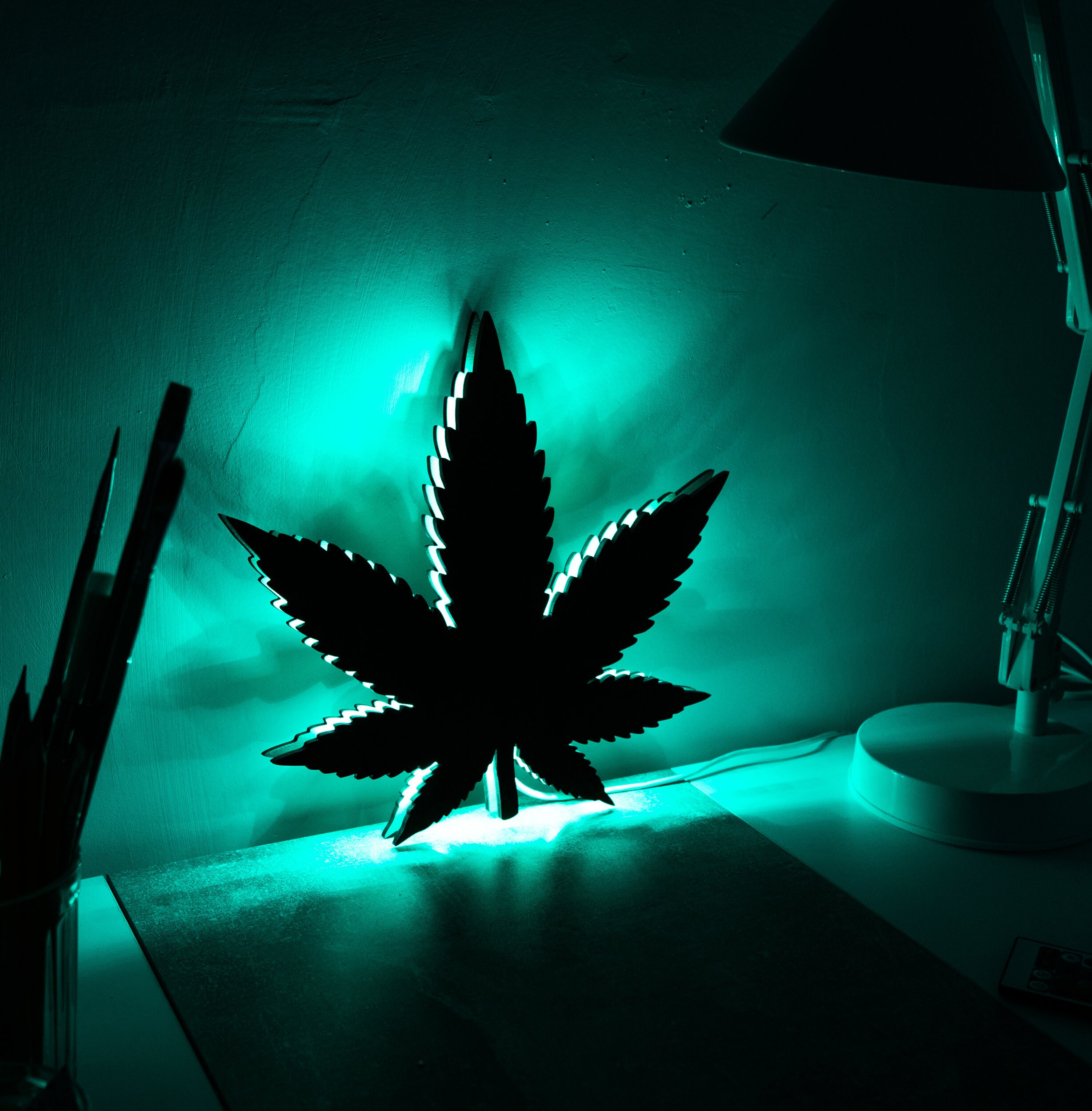 Cannabis Neon Sign Weed Neon Sign Marijuana Leaf Neon Sign Etsy