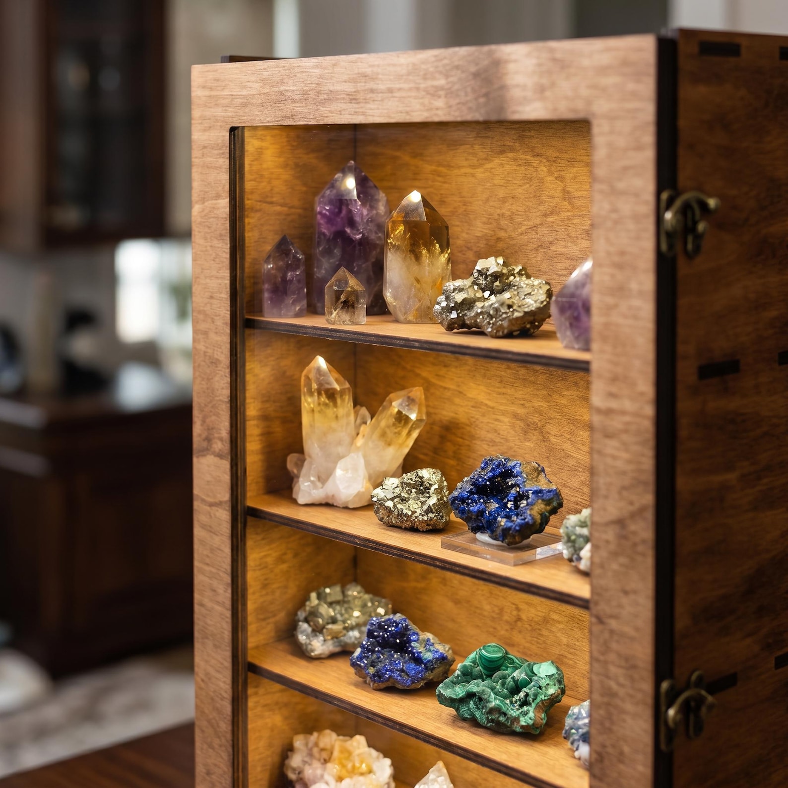 Crystal Display Case, Wood Display Cabinet With Door, LED Display Shelf ...