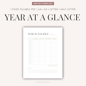 May include: A printable year-at-a-glance budget tracker with columns for income, savings, expenses, and totals. The tracker is divided into 12 months, with a section for notes at the bottom.