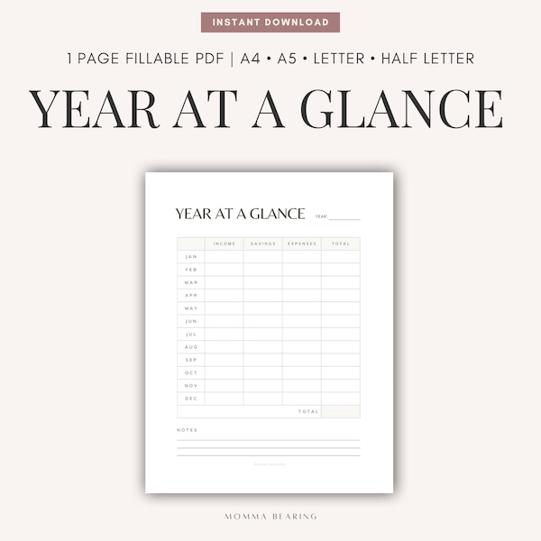 Yearly Financial Overview Printable, Yearly at a Glance, Annual Personal Finance Report, Monthly Income Summary, Digital Finance Organizer