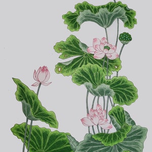 Lotus. Korean Traditional Painting Minhwa.