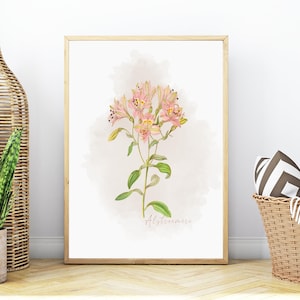 Pink Peach Alstroemeria Watercolor Print, Instant Download, Floral Wall Decor, Flower Print, Pastel Gift, Printable Art, Botanical Print