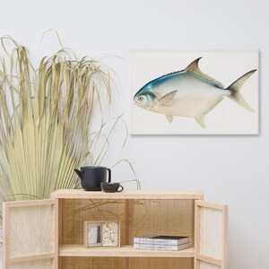 Pompano by Samuel Kilbourne Canvas