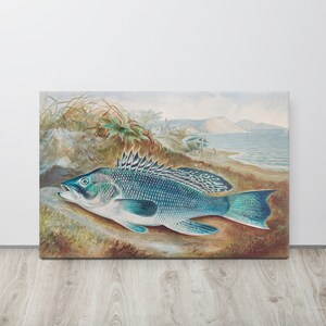 The Sea Bass chromolithograph (1879) by Samuel Kilbourne. Canvas