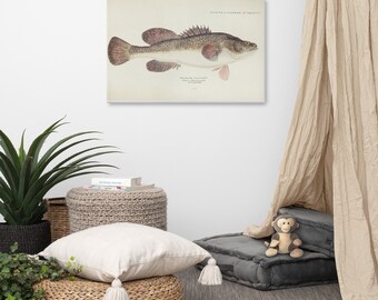 Antiker Fisch Maccullochella sp gezeichnet von Fe. Clarke (1849-1899) Leinwand