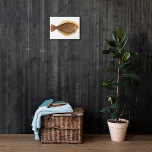 Flounder Canvas