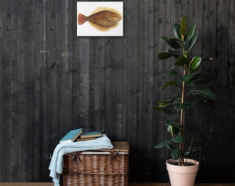 Flounder Canvas