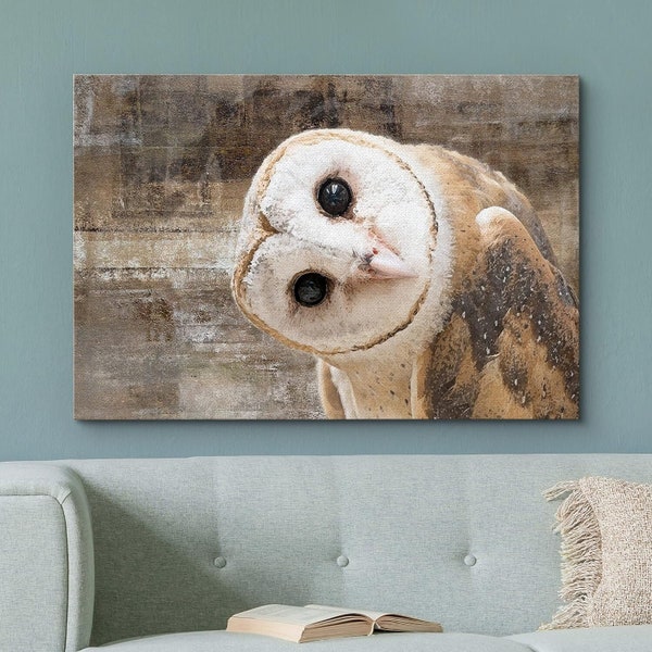 Framed Canvas Wall Art - Curious Cute White Owl Animals Wildlife Photography Print- Giclee Gallery Wrap Modern Home Art Eclectic Wall Decor