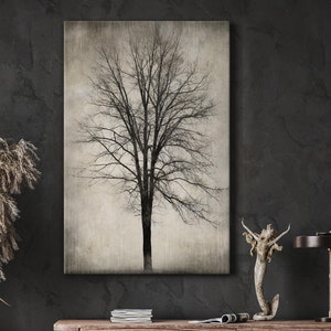 Canvas Wall Art - Moody Dark Forest Tree Black & White Grunge Nature Farmhouse Country Photography Print- Gallery Wrap Modern Home Art Decor