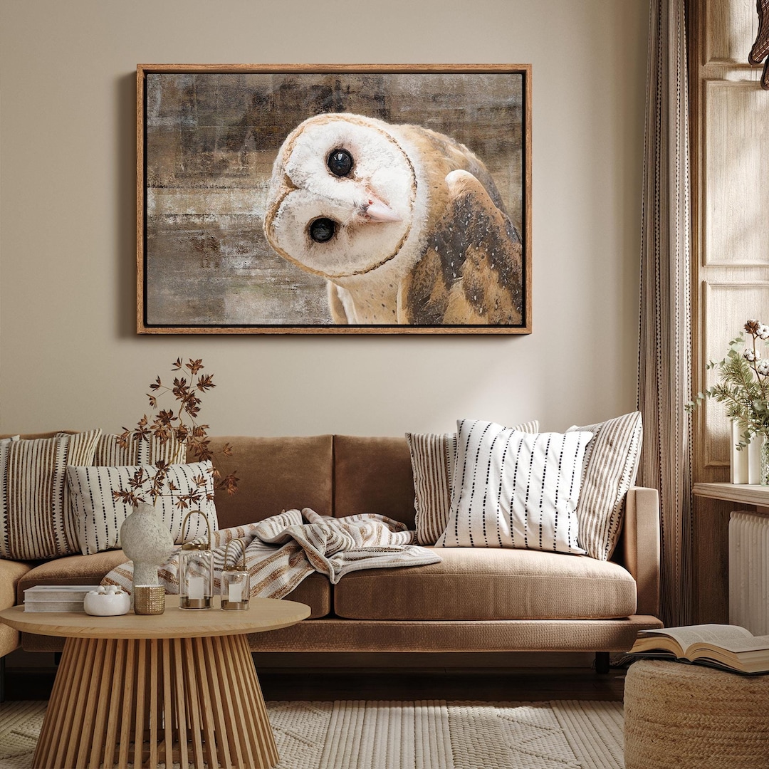 Framed Canvas Wall Art - Curious Cute White Owl Animals Wildlife ...