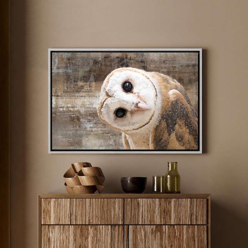 Framed Canvas Wall Art - Curious Cute White Owl Animals Wildlife ...