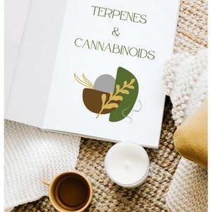 May include: A white book with the text "TERPENES & CANNABINOIDS" on the cover. The book is open and lying on a brown woven rug with a white knitted blanket and a white candle.