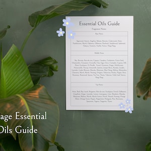 Puede incluir: Una hoja de papel blanca con el título "Guía de aceites esenciales" y una lista de aceites esenciales clasificados por notas de base, corazón y cabeza. El papel está fijado a una pared verde con flores azules.