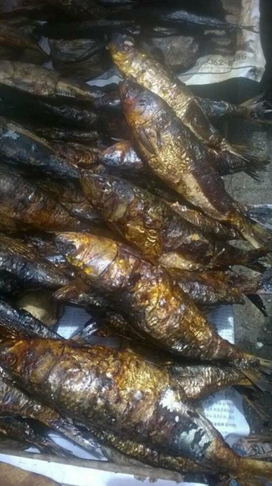 Shewra Fish Smoked Herring/bonga/boney Shawa Fish 8oz - Etsy