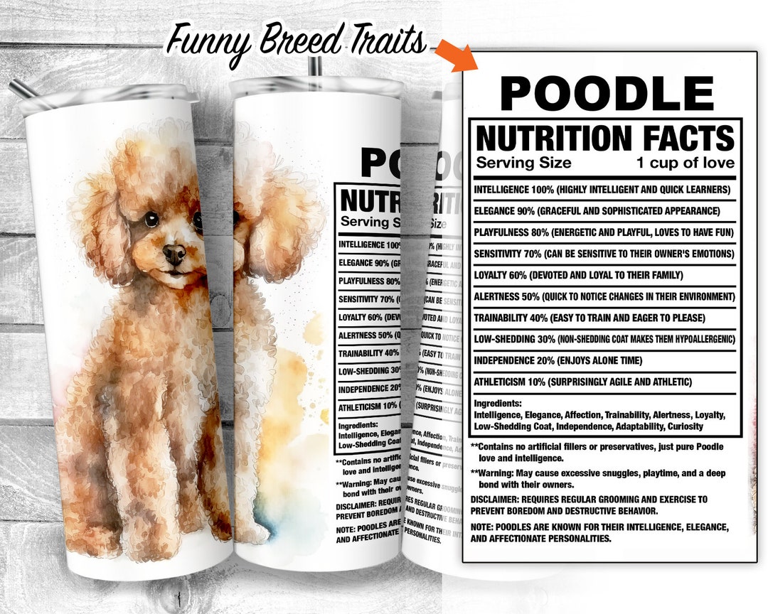 Poodle 20oz Skinny Tumbler Design,pudel Dog Facts, French Poodle Dog