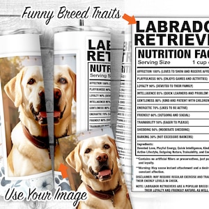 Puede incluir: Un vaso blanco con un diseño floral azul y una imagen de un Labrador Retriever. El vaso tiene un texto negro superpuesto que dice "Funny Breed Traits" y "Use Your Image". El texto en el lado derecho de la imagen dice "Labrador Retriever Nutrition Facts" y enumera los rasgos del perro, como "Affection 100%", "Playfulness 90%" y "Loyalty 90%".