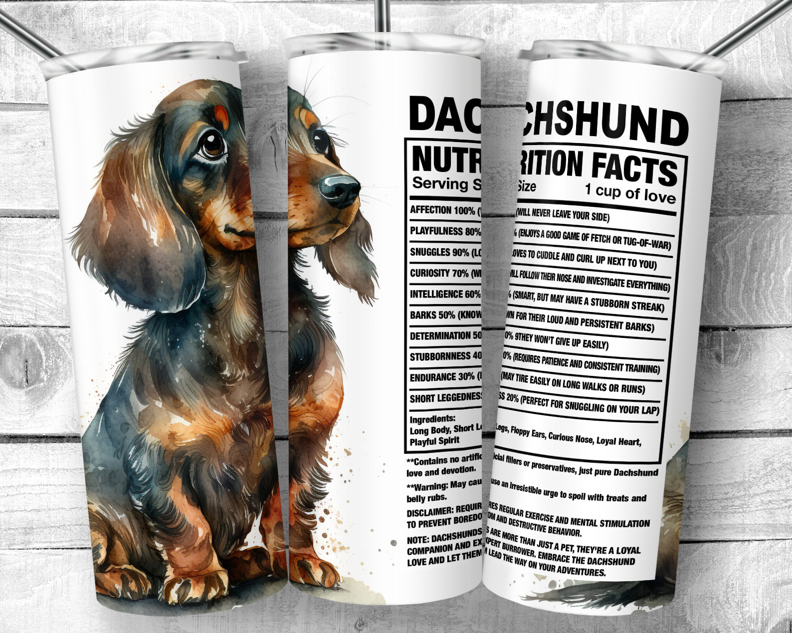 Are Dachshunds Smart? A Long But Short Investigation