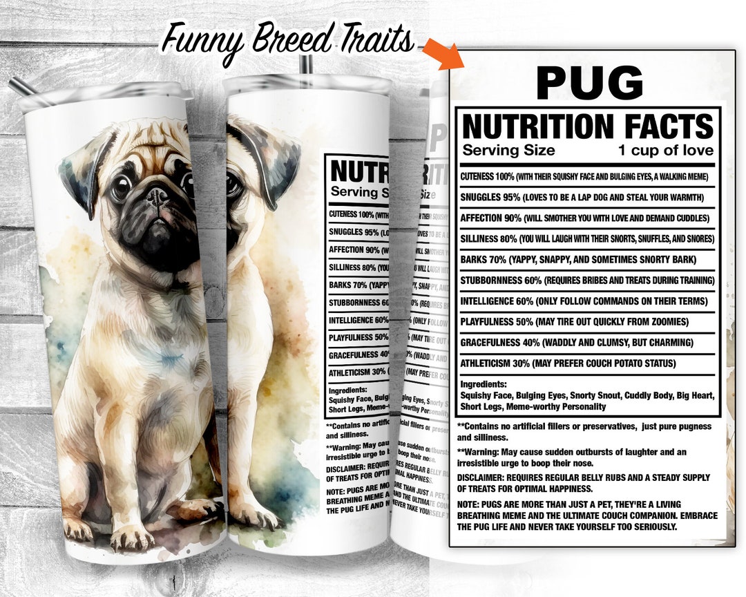 Are Pugs Pug Dog Intelligence Pug Dog Breed Health And Care PetMD