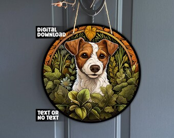 short legged jack jack russell terrier kurzbein