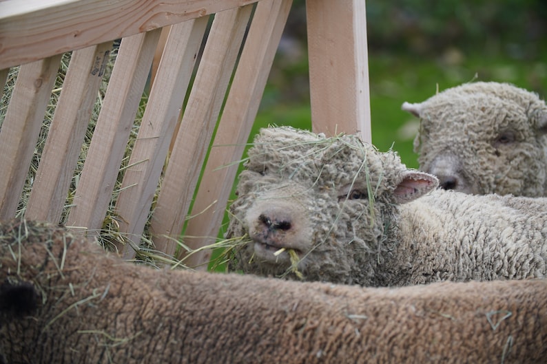 Covered Hay Feeder Plan - Etsy Canada