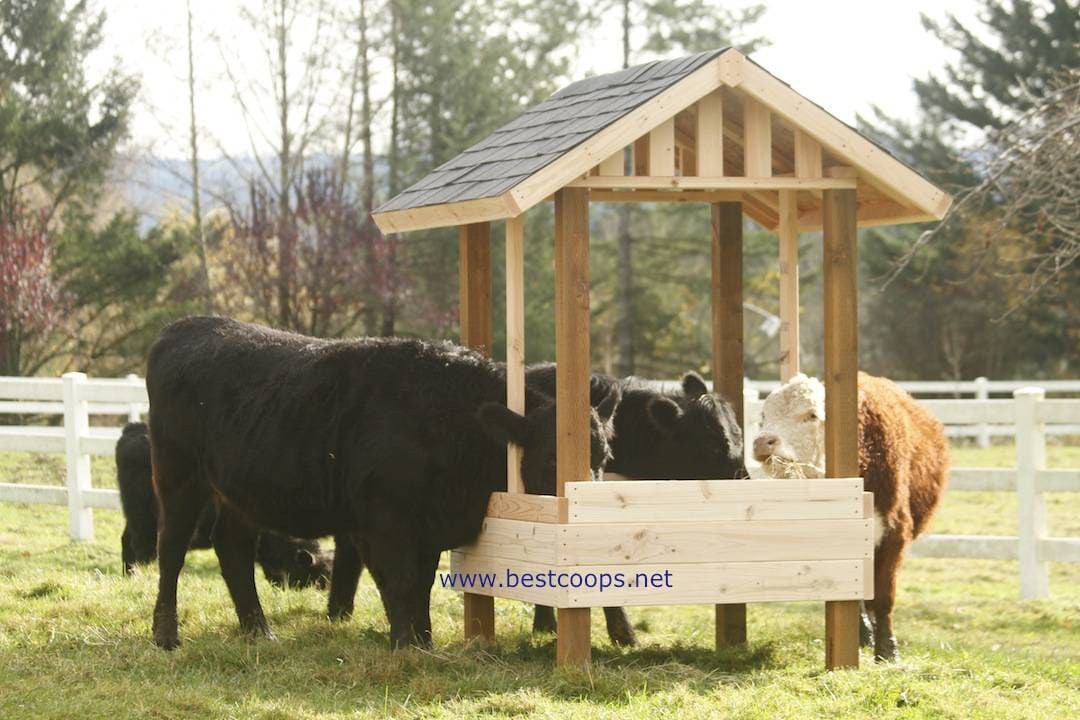 Large Hay Feeder Plan Etsy