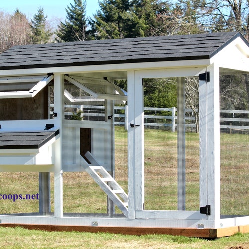 PDF Plan W/ Material List Chicken Coop Framing Plan Deluxe Etsy