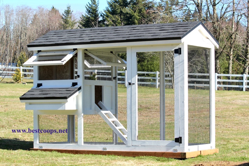 4x10' Chicken Coop Plan Etsy