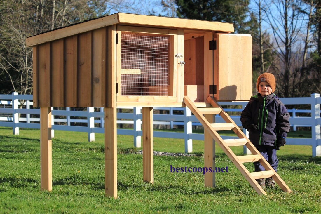 Cedar Rabbit Hutch/chicken Coop Plan Etsy