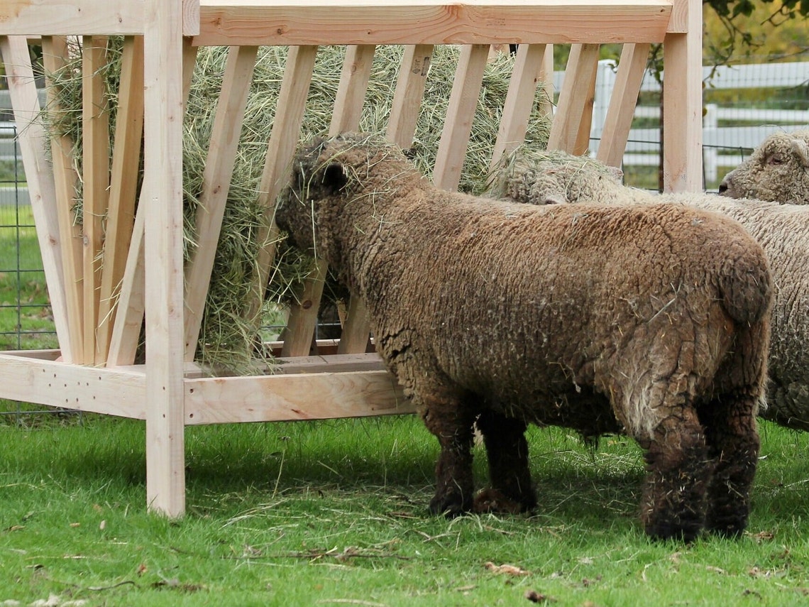Covered Hay Feeder Plan - Etsy Canada