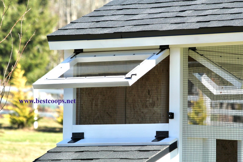 4x10' Chicken Coop Plan Etsy