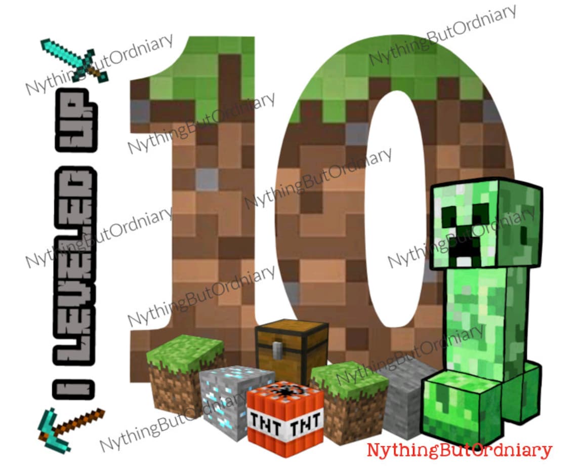 Minecraft Birthday Shirt 10 Leveled Up Etsy