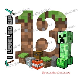 Camiseta de aniversário do Minecraft - 13