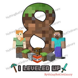 Camiseta de aniversário do Minecraft - 8 Alex e Steve