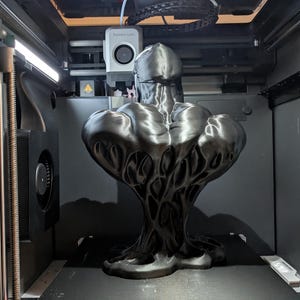 Puede incluir: Una escultura negra y abstracta con un dise&ntilde;o org&aacute;nico texturizado se exhibe dentro de una impresora 3D. La escultura tiene una parte superior bulbosa y una base con una red de estructuras similares a venas. El interior de la impresora es gris oscuro.