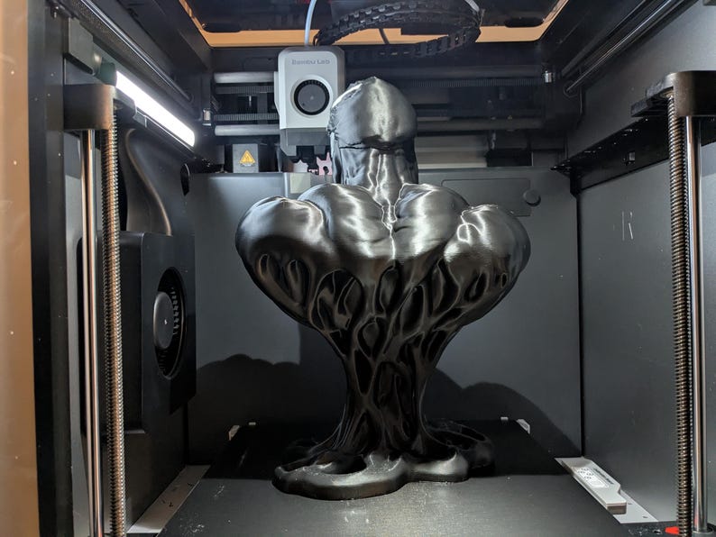Puede incluir: Una escultura negra y abstracta con un dise&ntilde;o org&aacute;nico texturizado se exhibe dentro de una impresora 3D. La escultura tiene una parte superior bulbosa y una base con una red de estructuras similares a venas. El interior de la impresora es gris oscuro.