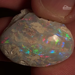 Opal Fossil Shell