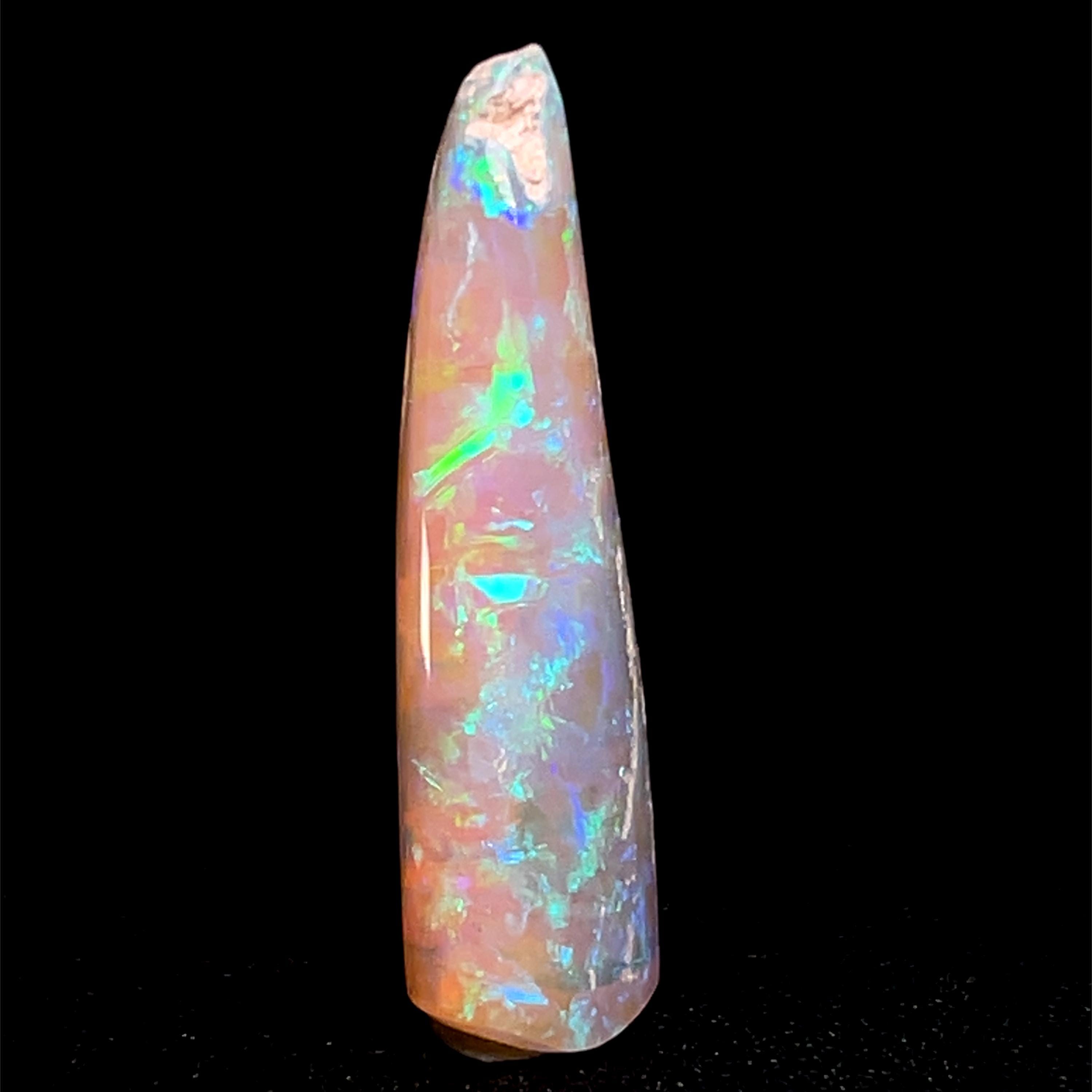 Belemnite - Etsy 日本