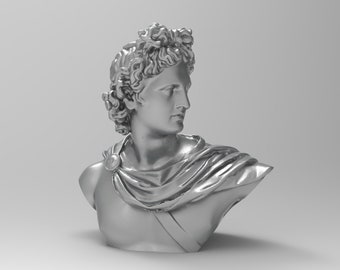 May include: A silver bust sculpture of a man with curly hair. The sculpture is detailed and realistic, with a draped cloth around the shoulders.