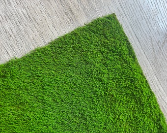 Lush Preserved Sheet Moss For Crafts, Terraiums,  Floral Wedding Decor. Vibrant Green Eco-Friendly Home  Decor. Moss Art. 13*9”/piece