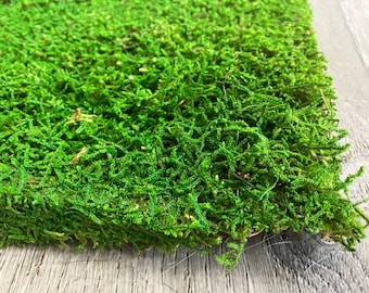 Bulk Preserved Green Moss, Centerpiece Decorations Moss, Moss Wall Art, Flat Moss, Terrarium
