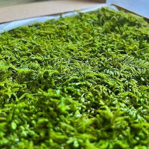 Muschio in fogli conservato all&#39;ingrosso per artigianato, terrari, decorazioni floreali per matrimoni. Decorazione per la casa ecologica verde brillante. Arte del muschio. 2 piedi quadrati/scatola